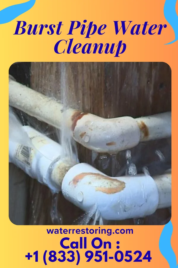 Burst Pipe Water Cleanup in Inkerman, PA