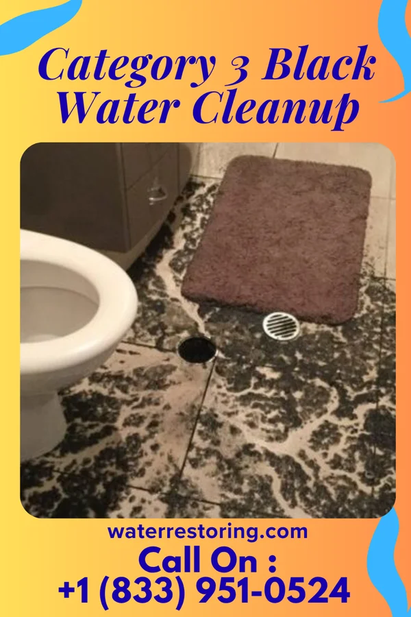 Category 3 Black Water Cleanup in Inkerman, PA