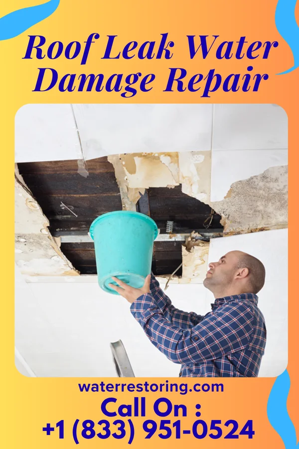 Roof Leak Water Damage Repair in Inkerman, PA