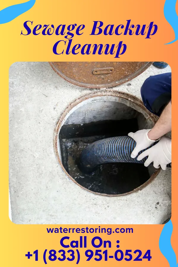 Sewage Backup Cleanup in Inkerman, PA