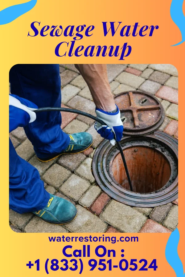 Sewage Water Cleanup in Inkerman, PA